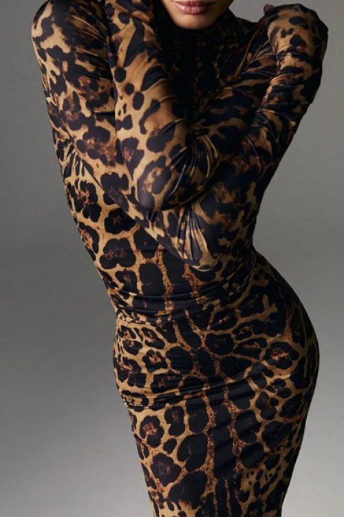 Chic Predator