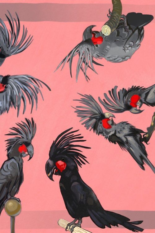 Палантин “Black cockatoo collection”