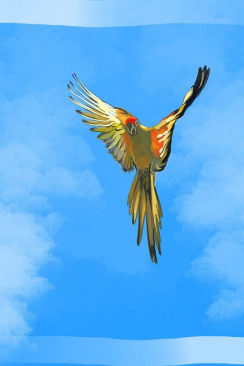 Палантин ” Dominican macaw”