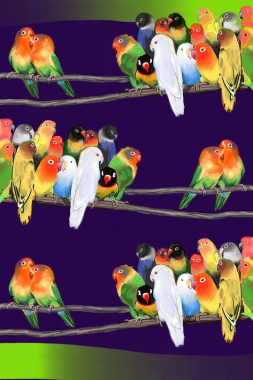 Палантин “Lovebirds collection”