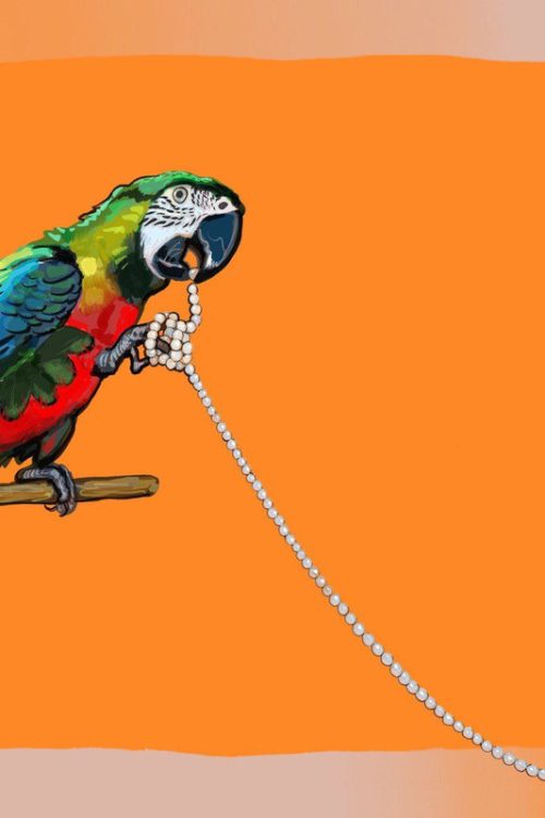 Палантин “Macaw with pearl”